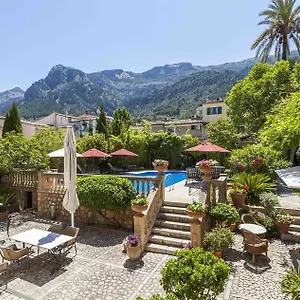 The Salvia - Adults Only Soller